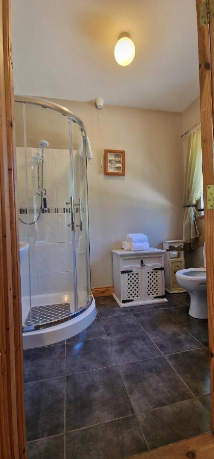 LittleField B&B Durrow, Laois Exterior foto